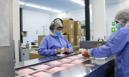 El empleo adecuado en Ecuador se ubicó en 35,8% en abril de 2025