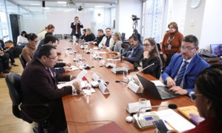 Contralor General del Estado detalló varios tópicos sobre su informe anual de labores 2024 en la Comisión de Garantías Constitucionales