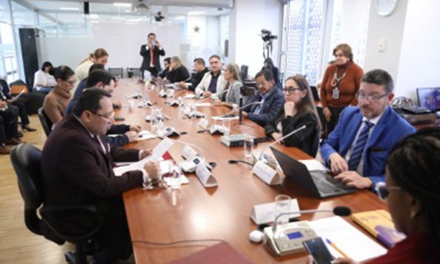 Contralor General del Estado detalló varios tópicos sobre su informe anual de labores 2024 en la Comisión de Garantías Constitucionales
