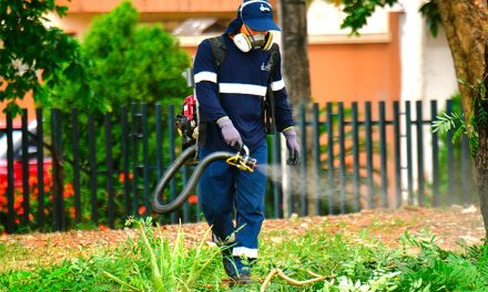 Municipio de Guayaquil ejecutó jornada integral de limpieza y control de plagas en La Alborada