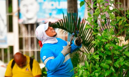 Parques del sur de Guayaquil reciben trabajos de mantenimiento agronómico