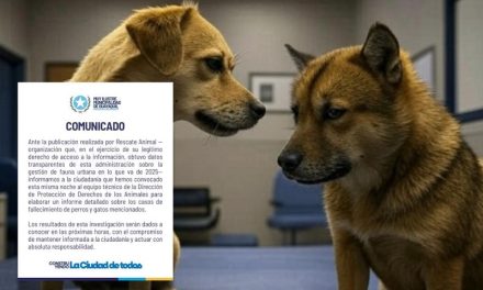 Municipio de Guayaquil anuncia investigación tras denuncias de Rescate Animal