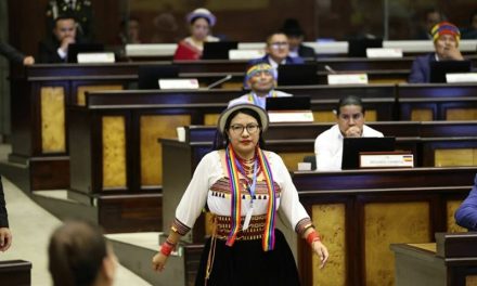 Mayoría de asambleístas de Pachakutik votó a favor de ADN; el partido hizo una advertencia