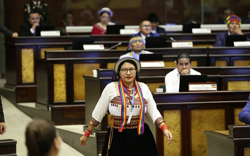Mayoría de asambleístas de Pachakutik votó a favor de ADN; el partido hizo una advertencia