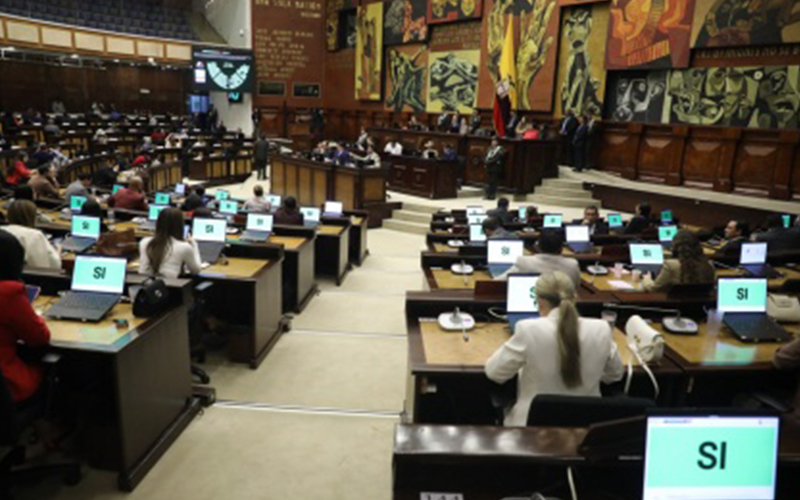 El Pleno de la Asamblea Nacional aceptó la renuncia de la fiscal general Diana Salazar