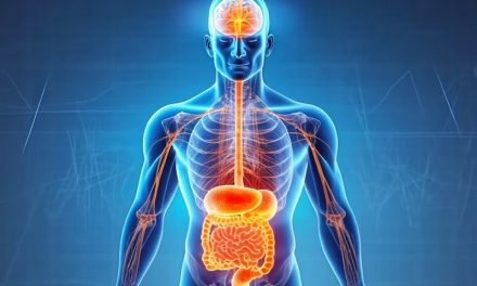 ¿Los probióticos podrían prevenir el deterioro cognitivo y el Alzheimer?