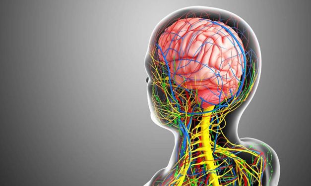 El síntoma invisible que te puede estar avisando de que algo no va bien en el sistema nervioso