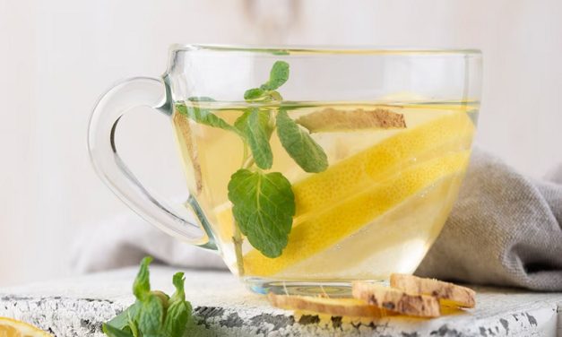 Cuáles son los beneficios del té de ginkgo, según la ciencia