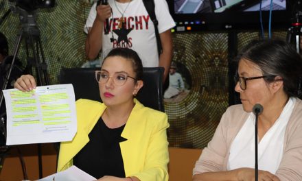 Demora en el trámite del recurso de Priscila Schettini ante el TCE