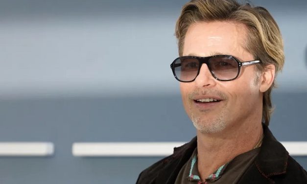 Brad Pitt demanda a Angelina Jolie por vender parte de su viñedo