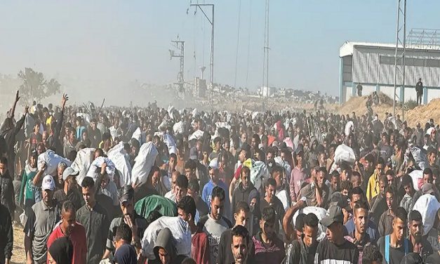 Gaza: al menos 22 muertos por disparos en centro de ayuda