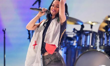 Katy Perry se lleva un susto cuando un fan saltó al escenario en pleno concierto