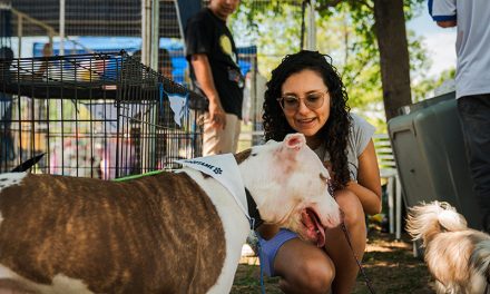 Adoptar es construir comunidad: Municipio promueve respeto y cuidado animal