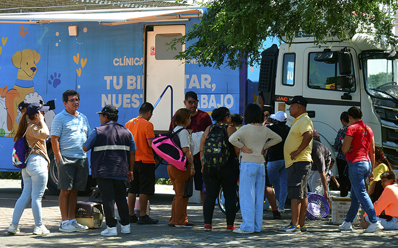 Más de 115.000 servicios médicos gratuitos a animales de compañía refuerzan el compromiso de Guayaquil con el bienestar animal