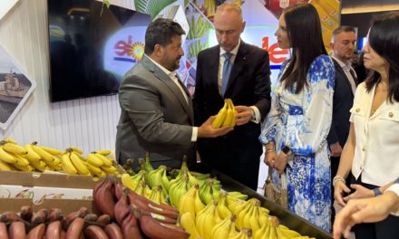 Exportaciones de banano de Ecuador crecieron hasta abril de 2025, pese a los aranceles de Trump y guerras en Medio Oriente