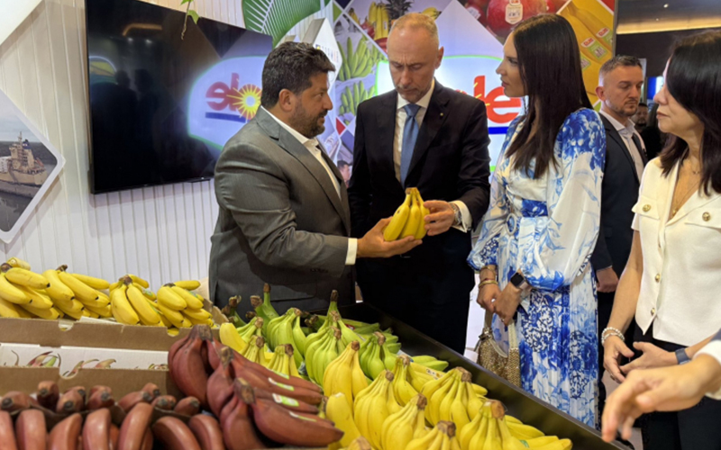 Exportaciones de banano de Ecuador crecieron hasta abril de 2025, pese a los aranceles de Trump y guerras en Medio Oriente