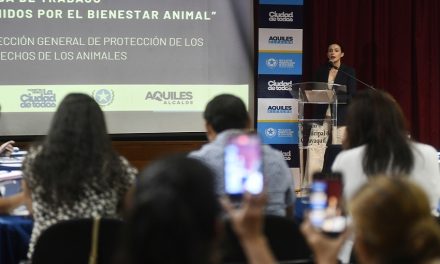 Unidos por una ciudad que respeta y protege la vida animal