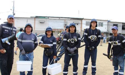 En 5 meses, campaña de desratización llegó a cerca de 400 mil personas en Guayaquil