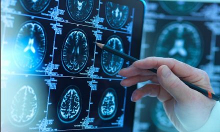 Cómo crece el cerebro de un bebé en los primeros años de vida