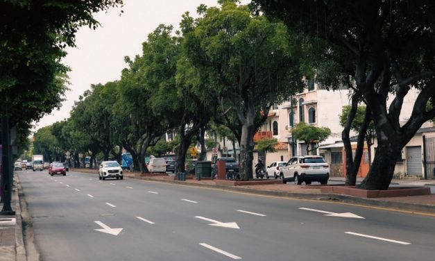 Trabajos hidrosanitarios requieren cierre  total en tramo de la avenida Plaza Dañín