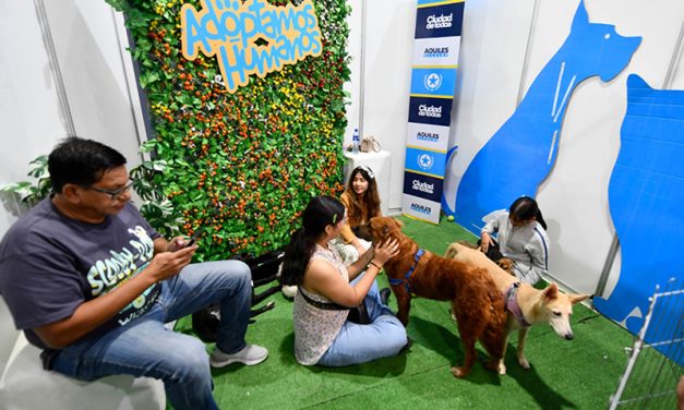 “Adoptamos Humanos”, la campaña del Municipio que atrajo miradas en la Comic Con