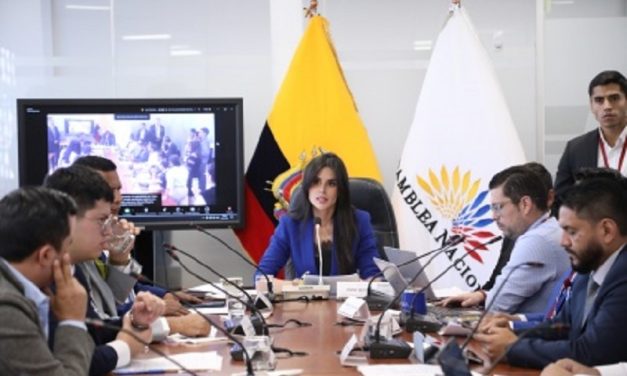 Comisión de Participación Ciudadana continuará con el proceso de fiscalización de los contratos suscritos entre el Ministerio de Energía y la empresa Progen