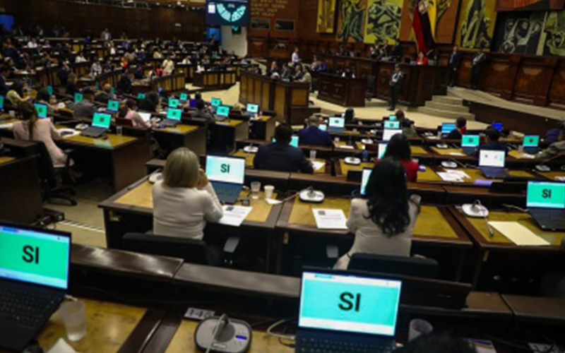 Asamblea archiva ley para defensa animal por fallas técnicas e inconstitucionalidades