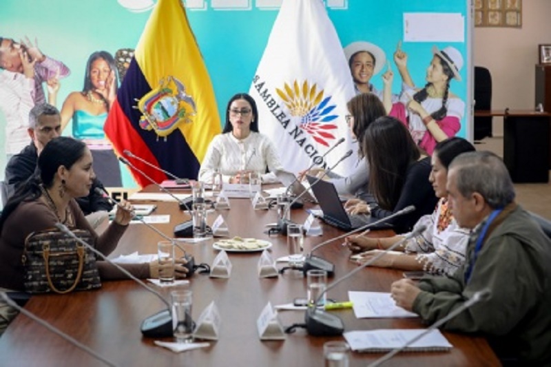 Comisión inició el debate de las reformas al Código de la Niñez y Adolescencia