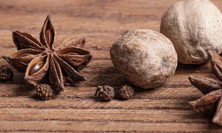 Salud Bienestar Infusión de nuez moscada: propiedades, beneficios y por qué tomarla todas las semanas