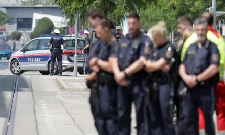 Aumentan a 11 las víctimas de mortal tiroteo en Austria